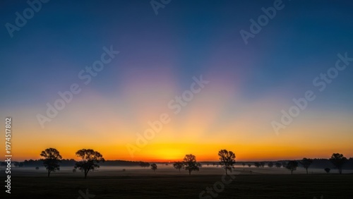 A vibrant sunrise with sun rays bursting through the horizon over trees and a misty field