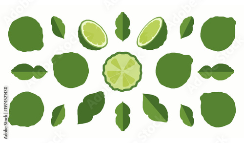 Minimal flat kaffir lime citrus vector with sliced fruit and leaves for organic skincare branding design