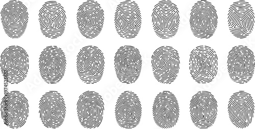 Black and White Line Art Fingerprint Patterns for Security and Identification Vector
