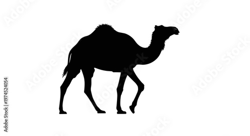 Black Camel Silhouette Walking Profile.