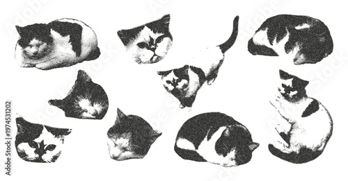 Cats photocopy effect collage cut outs set. Stickers with vintage dotted texture. Retro grunge vector illustration on transparent background. 