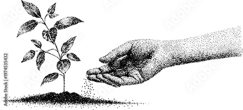 Human hand sowing seeds beside young seedling in soil bed