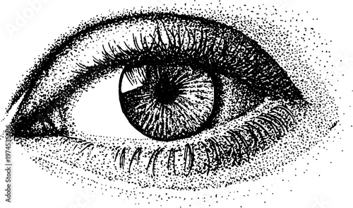Human eye stippled close study on white background