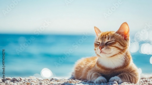 Cat rests on a beach near the ocean during a sunny day enjoying the warm weather and sound of waves