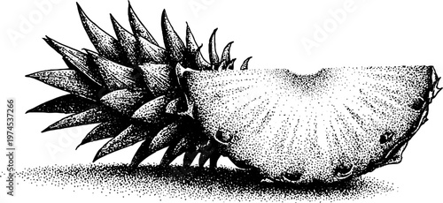 Pineapple wedge resting beside crown on flat surface