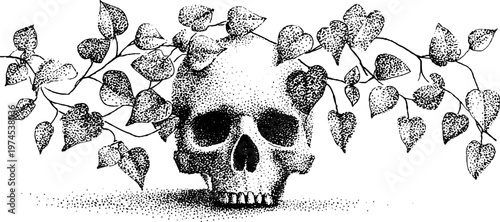 Skull entwined with trailing leaves on flat surface illustration