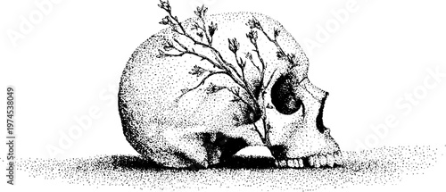 Human skull with branch protruding on flat surface