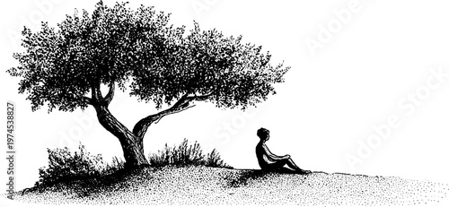 Person sitting under tree on grassy hillside near shrubs