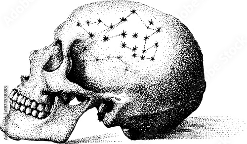 Human skull marked with constellation pattern on surface