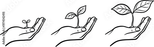 Illustrative sketch of plant growth stages seed sprout seedling and mature plant development