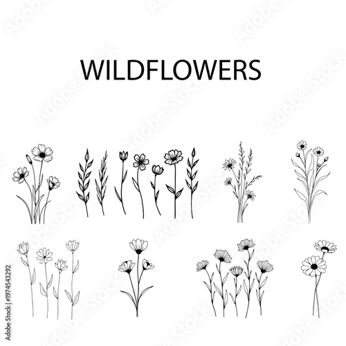 Black and white vector set of wildflower illustrations isolated on a white background. Ideal for engraving, prints, tattoo design, sublimation, DIY projects, botanical decor, and elegant floral art