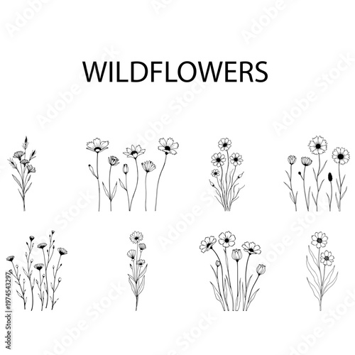 Black and white vector set of wildflower illustrations isolated on a white background. Ideal for engraving, prints, tattoo design, sublimation, DIY projects, botanical decor, and elegant floral art