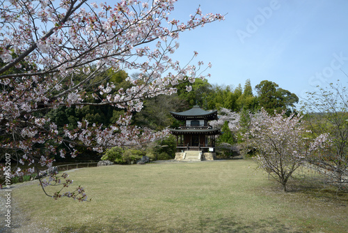 春の観修寺　観音堂　京都市山科区勧修寺仁王堂町