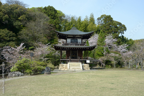 春の観修寺　観音堂　京都市山科区勧修寺仁王堂町
