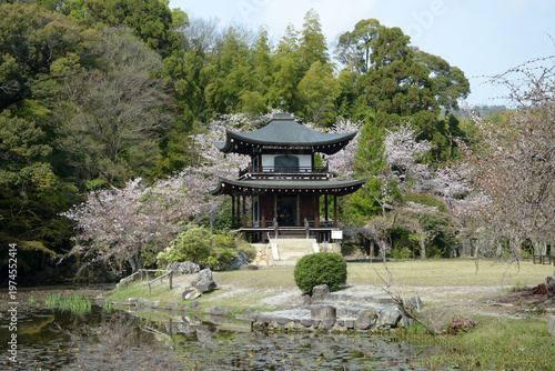 春の観修寺　観音堂　京都市山科区勧修寺仁王堂町