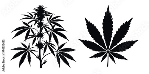 Cannabis tree and leaf vector silhouette isolated on white background clean botanical illustration design element for graphic use