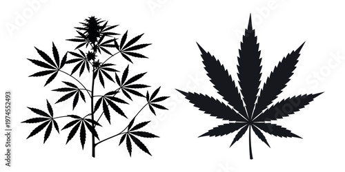 Cannabis tree and leaf vector silhouette isolated on white background clean botanical illustration design element for graphic use