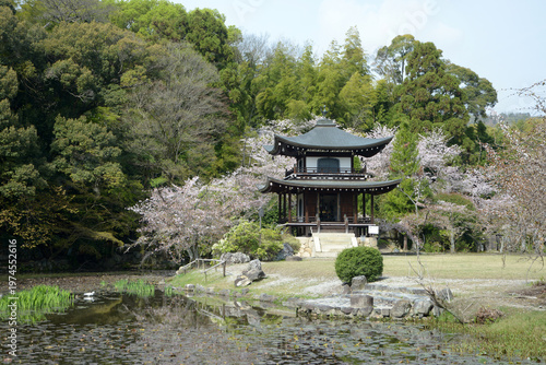 春の観修寺　観音堂　京都市山科区勧修寺仁王堂町