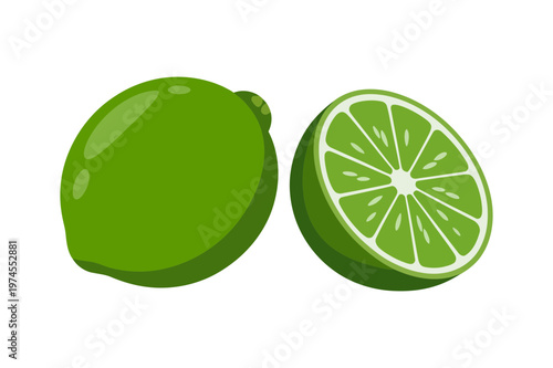 Fresh lime whole and slice green citrus fruit illustration