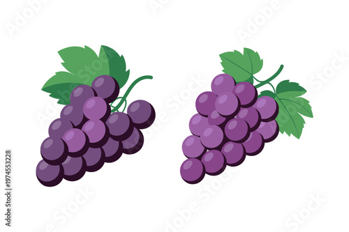 Purple grape bunch with leaves fresh fruit illustration