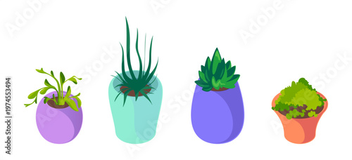 Plants in pots with leaves and stems. Vector isolated isometric botanical collection. Indoor flora set, freshness and natural interior decoration. Greenery and eco lifestyle, home gardening