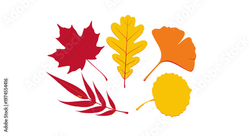 Colorful autumn leaves arrangement illustration.