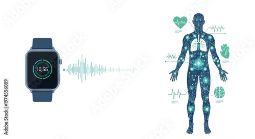 A smartwatch monitoring health data and transmitting signals to a human body diagram illustrating various biological functions and vital signs.