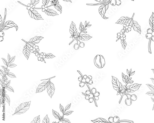 Seamless floral pattern. Branch with leaves. vector illustration of coffee branch. Coffee plant branch with leaf. Hand drawn Coffee tree vector. Coffee beans and leaves. Branch of a plant.