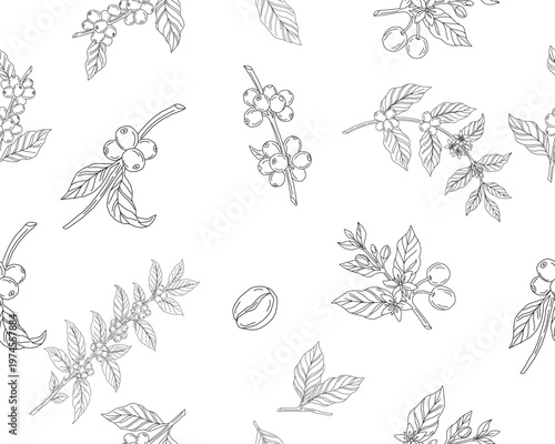 Seamless floral pattern. Branch with leaves. vector illustration of coffee branch. Coffee plant branch with leaf. Hand drawn Coffee tree vector. Coffee beans and leaves. Branch of a plant.