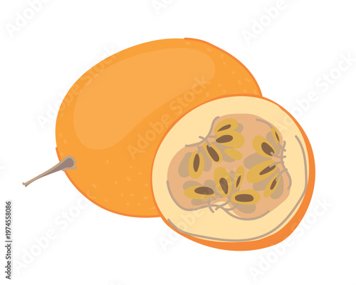 A ripe, whole granadilla, its juicy flesh and seeds. Fresh, sweet passion fruit. Tropical composition of a whole fruit and slice. Colored hand drawn vector illustration isolated on a white background