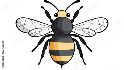 Detailed bee insect with wings and striped body illustrating pollination and nature ecosystem importance vector