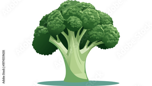 Fresh broccoli vegetable with green florets representing healthy organic produce and natural nutrition vector