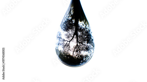 A transparent water droplet reflects the dark silhouette of a bare tree against a bright sky. 