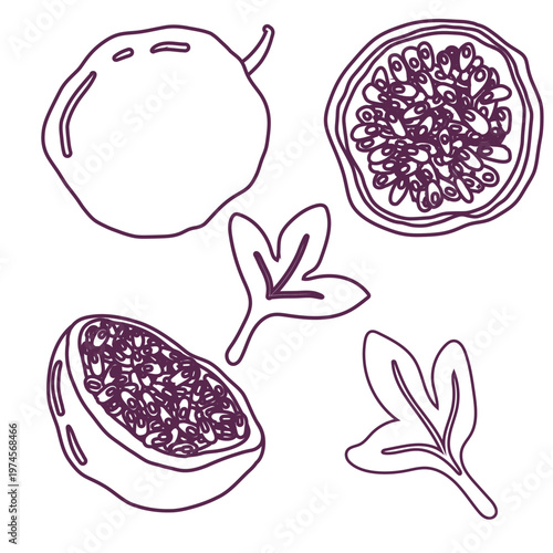 Set of tropical Passion fruit. Hand drawn exotic Passiflora fruit. Whole and sliced fruits. Vector doodle illustration for package, flavor passion fruit product, stickers.  