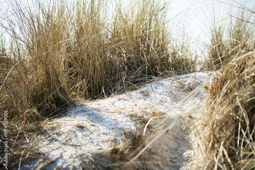 Dünen am Strand von Norddeich