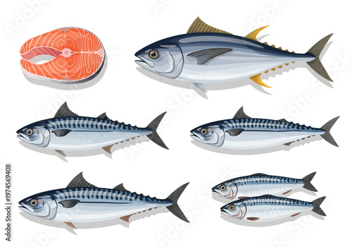 Fresh Assorted Fish Vector Illustration on White Background