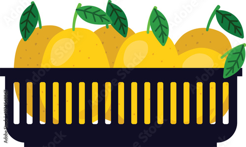 Fresh ripe orange fruit vector illustration with green leaf isolated on white background