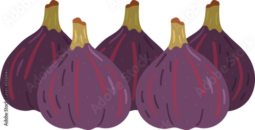 Fresh ripe purple figs and a juicy half slice isolated on a white background organic sweet exotic fruit macro closeup