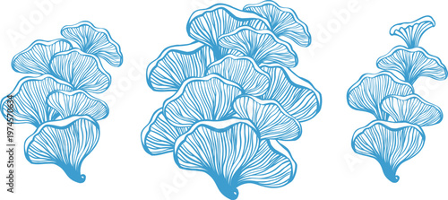 Bracket Fungus Organic Shape Vector Set Hand Drawn Mushroom Elements
