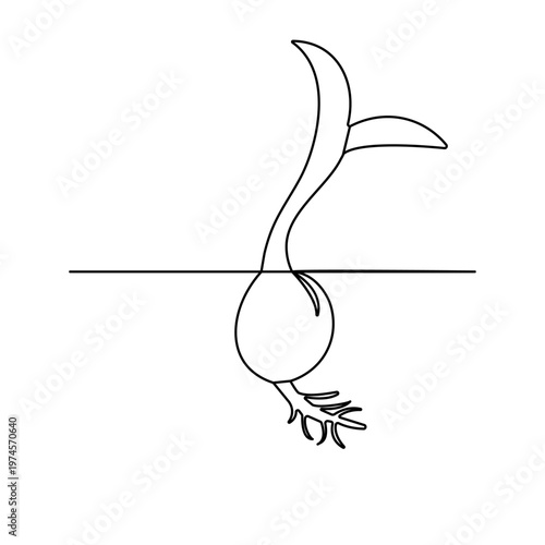 Continuous line drawing of a small plant growing with leaves and roots

