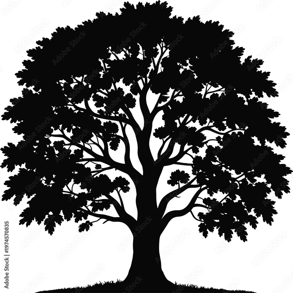 Obraz premium Tree silhouette, deciduous design, botanical outline, forest art, thick trunk, dense foliage, natural landscape, eco concept, environmental illustration, outdoor scenery