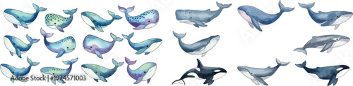 Watercolor Whale and Orca Illustration Collection