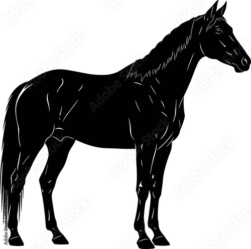 Black Horse Silhouette Vector Illustration Isolated on White Background Standing Stallion Graphic for Equestrian Sports Logo Design and Animal Branding.