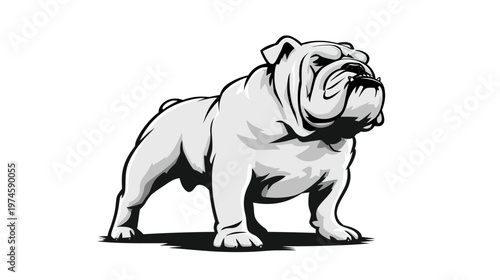 Powerful standing bulldog vector illustration. Strong, muscular canine animal in black and white, ideal for mascot or graphic design.