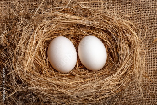 Fresh Farm Eggs in Bird Nest Top View Rustic Organic Agriculture Concept