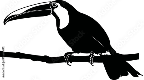 Monochrome vector silhouette of a toucan perched on a tree branch, an exotic tropical bird illustration.