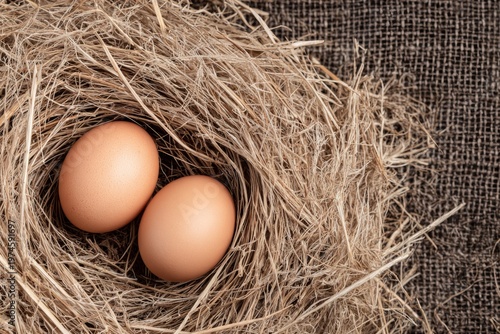 Fresh Farm Eggs in Bird Nest Top View Rustic Organic Agriculture Concept