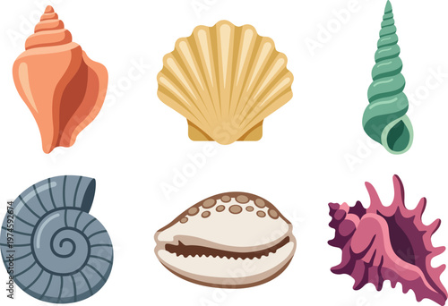 Set sea shells. Hand drawn underwater elements. Illustration for summer, ocean design, beach decor, kids projects. Collection marine shells.