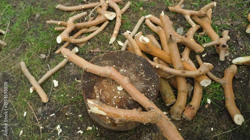 Wallpaper Mural Slow motion of man chopping mulberry branches with axe top view Torontodigital.ca
