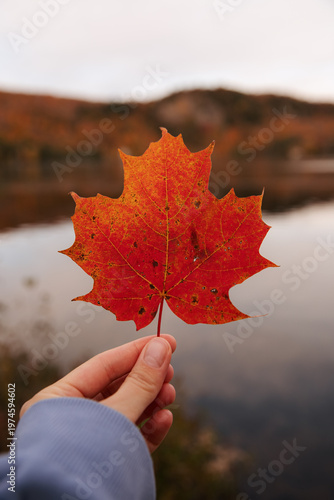 Red maple leaf held by hand near water. 